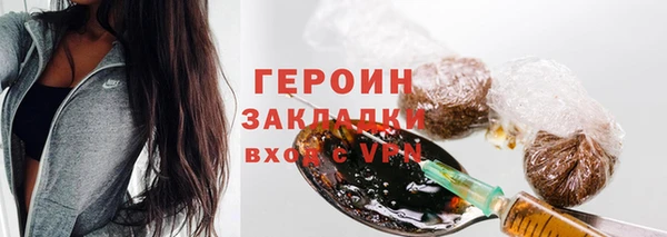 гидра Елизово