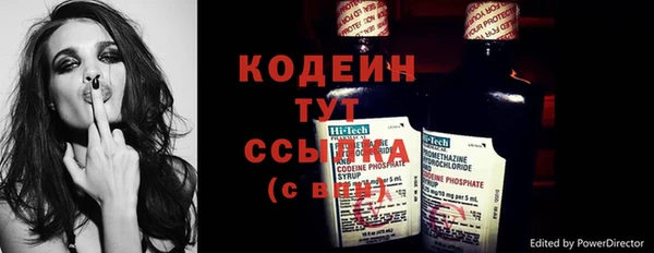 спиды Гусев