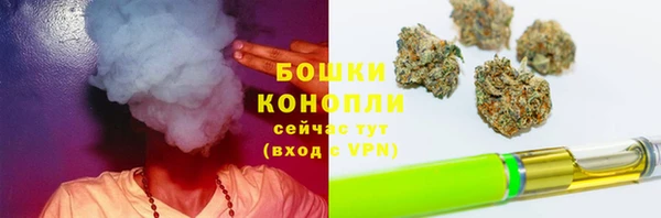 меф Белокуриха