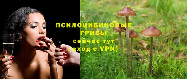 мдпв Беломорск
