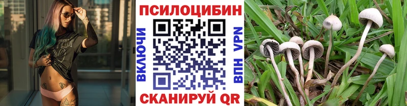 Псилоцибиновые грибы ЛСД  мега онион  Няндома 