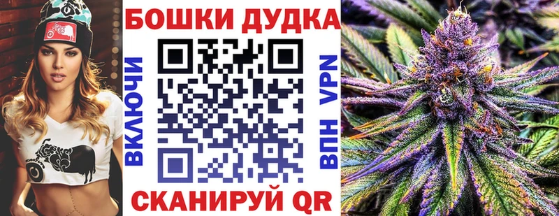 Конопля сатива  Няндома 